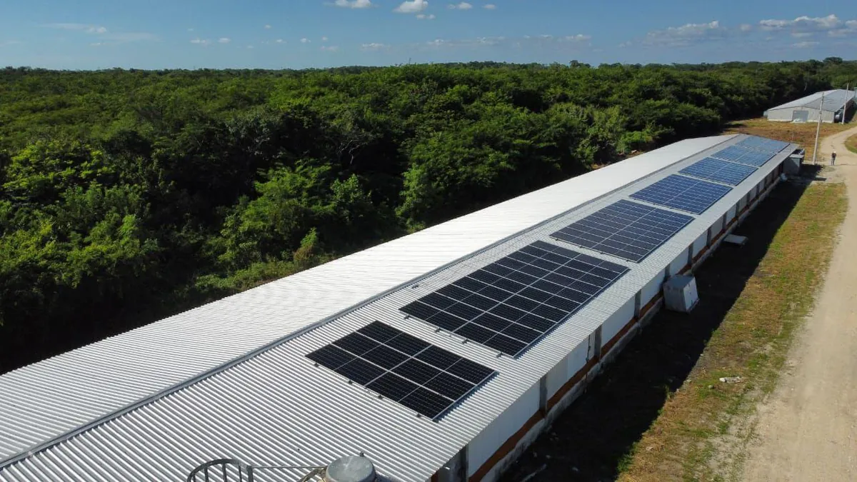 Paneles solares sobre el techo de una nave, vista aérea