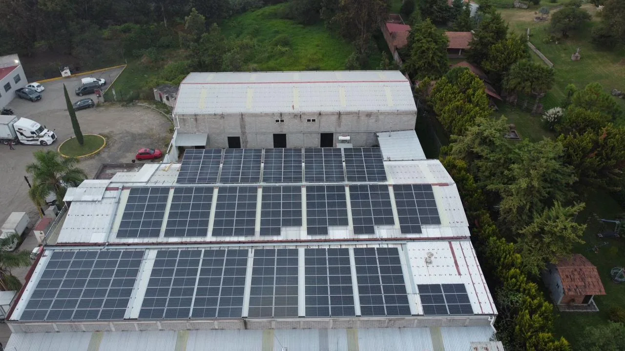 Techos de una nave cubiertos de paneles solares junto a una zona arbolada, vista aérea